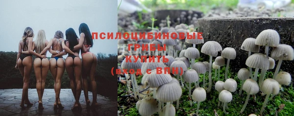 хмурый Осташков
