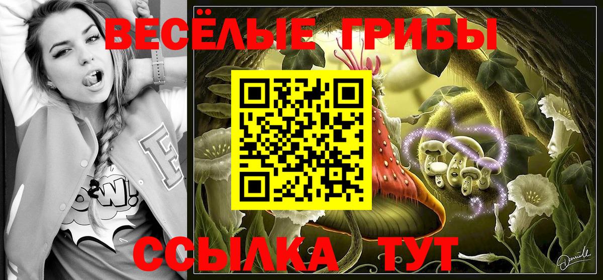 Псилоцибиновые грибы MAGIC MUSHROOMS  Псилоцибиновые грибы GOLDEN TEACHER  Гурьевск 