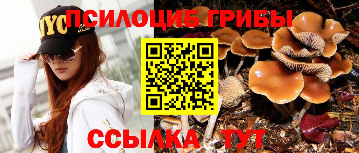 Псилоцибиновые грибы Magic Shrooms Гурьевск