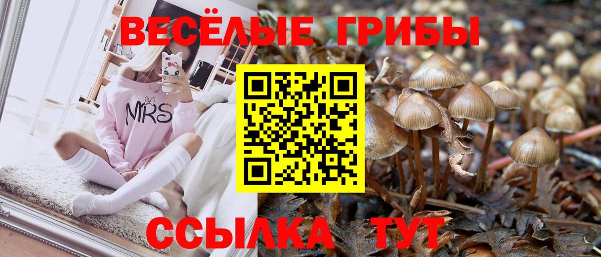 Псилоцибиновые грибы Cubensis Гурьевск